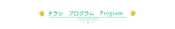 千葉県　ホームページ チラシ　プロブラム